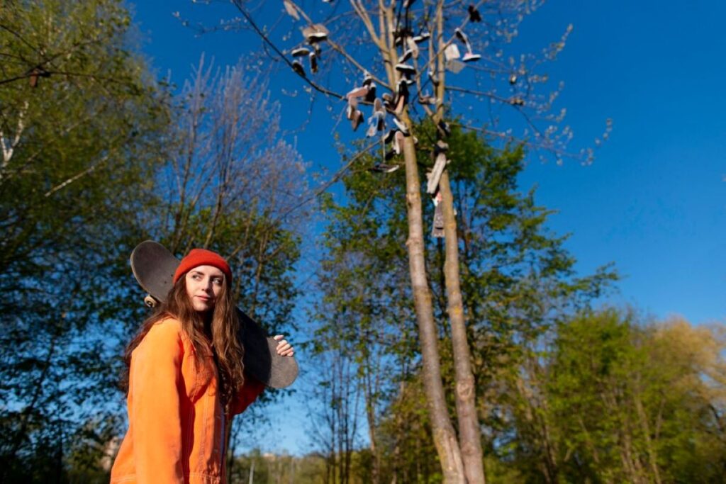 sydney arborist